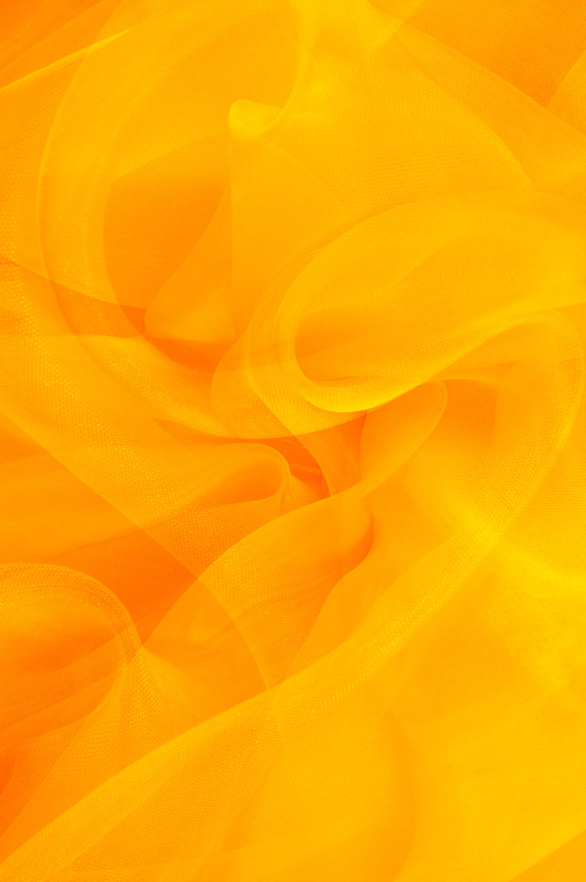 Leveraging Data to Drive Business Growth